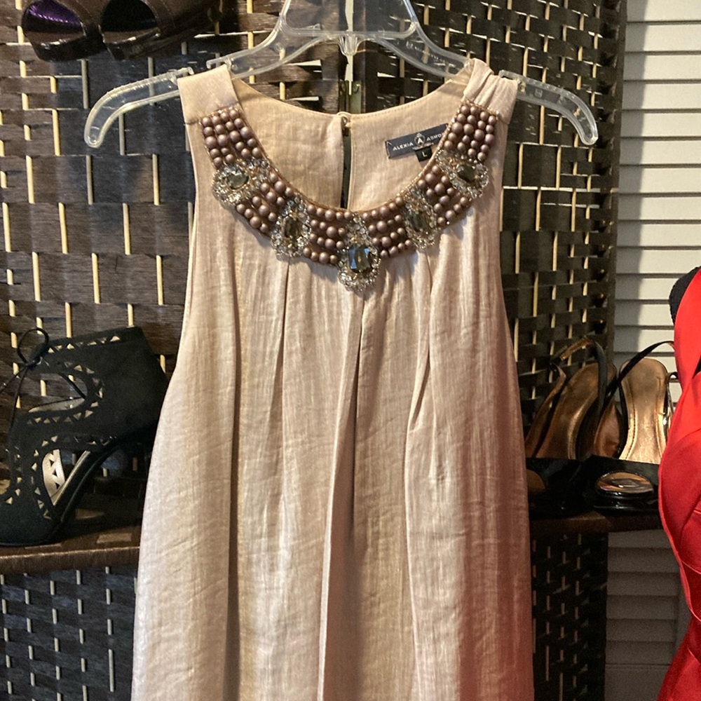 Size large cocktail, dress, champagne